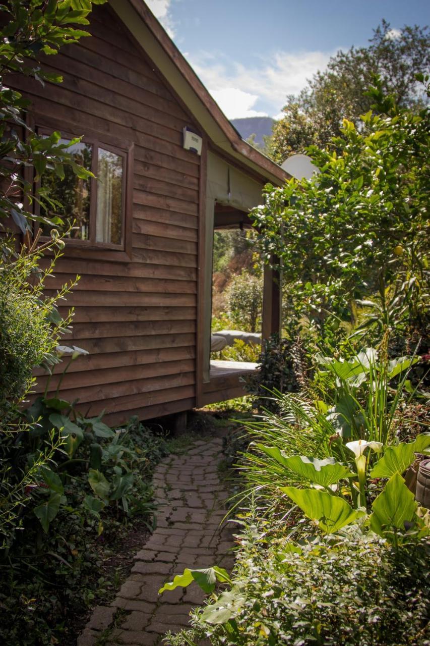 Pear Tree Cottage Стормсривер Экстерьер фото