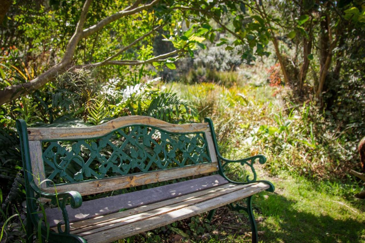 Pear Tree Cottage Стормсривер Экстерьер фото